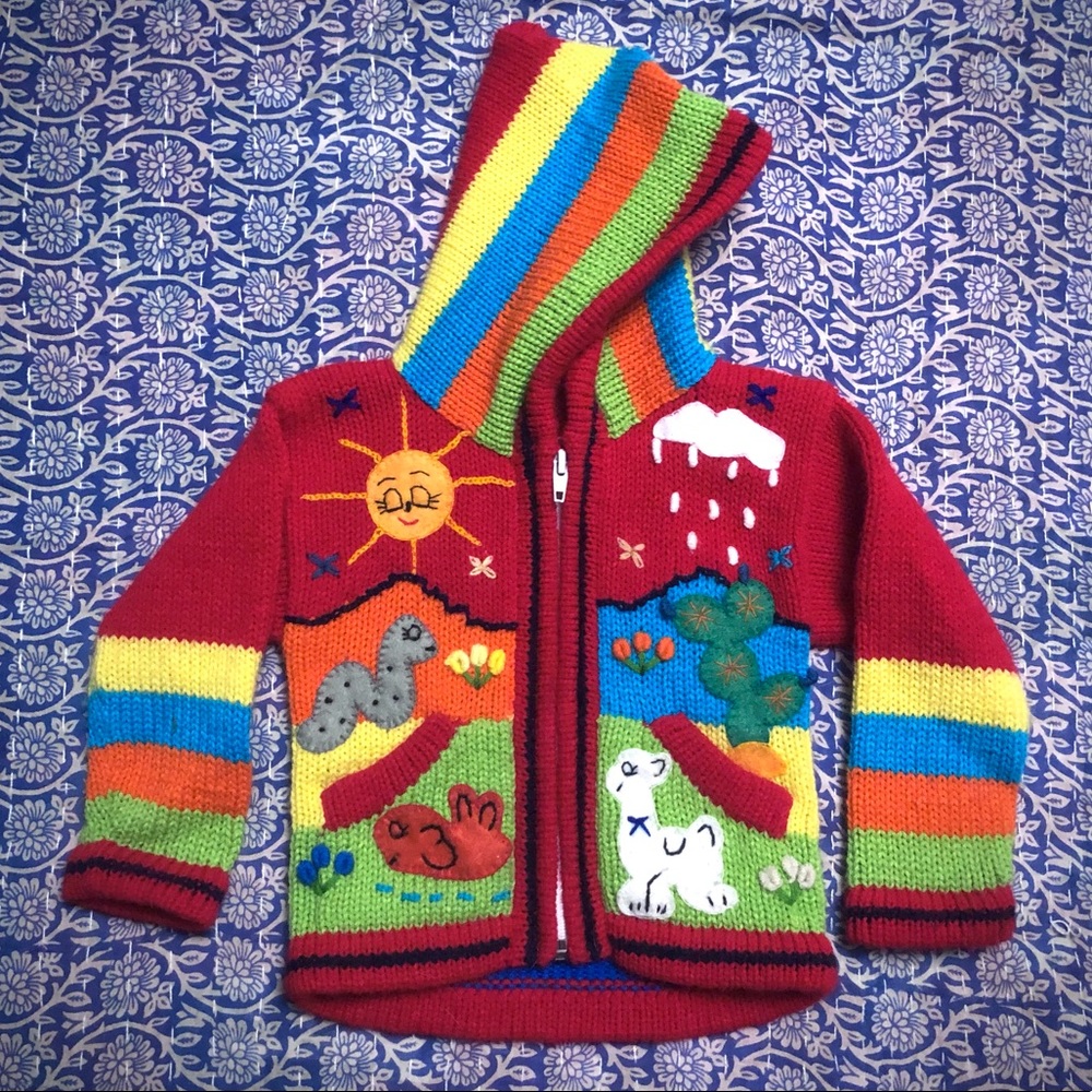 NWOT Peruvian Acrylic Wool Knit Hoodie